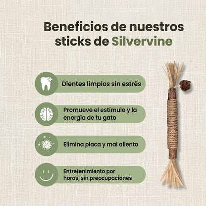 NaturaGato Pack de Sticks Dentales